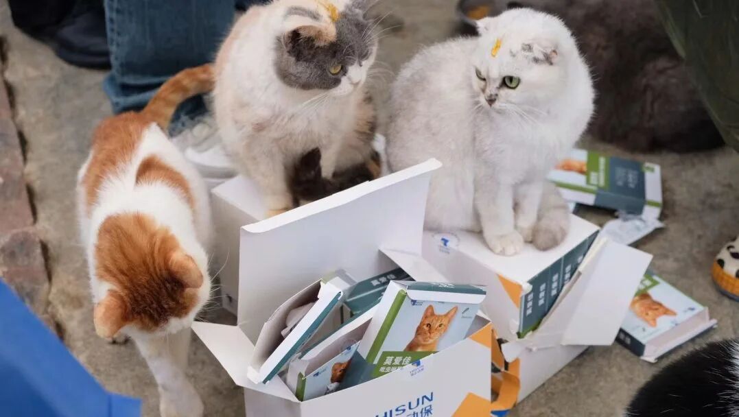 ��TA�ѱ��İ���������